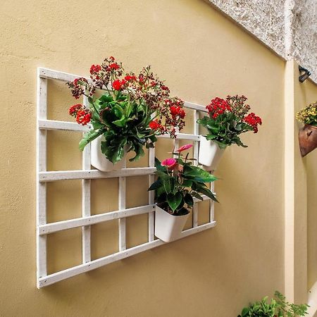 Las Sales Estudio Moya  Zewnętrze zdjęcie